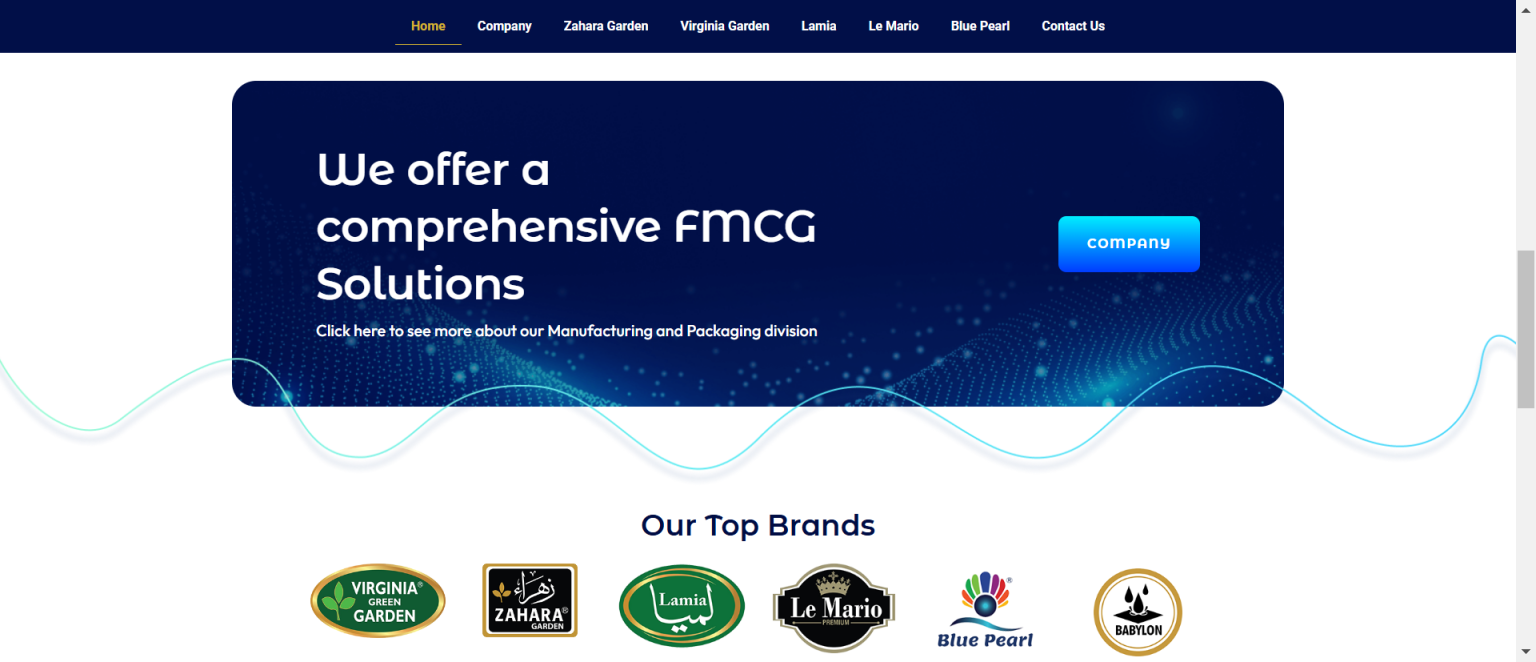 www.saaiinternationalfoodstufftrading.com